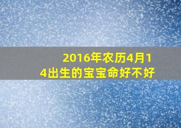 2016年农历4月14出生的宝宝命好不好