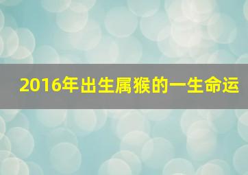 2016年出生属猴的一生命运