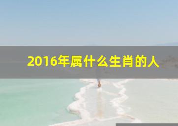 2016年属什么生肖的人