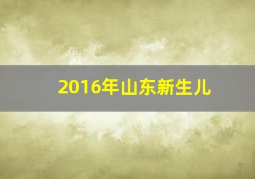 2016年山东新生儿