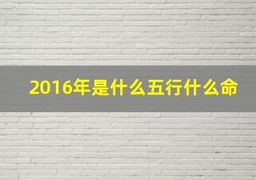 2016年是什么五行什么命