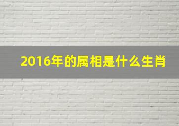 2016年的属相是什么生肖