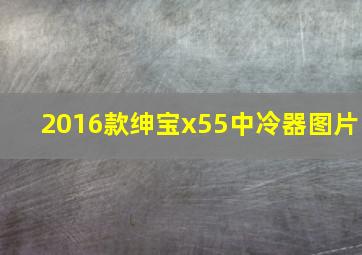 2016款绅宝x55中冷器图片