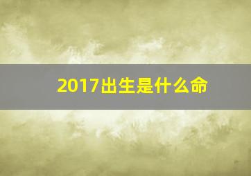 2017出生是什么命