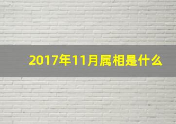 2017年11月属相是什么