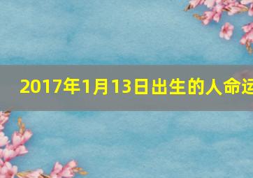 2017年1月13日出生的人命运