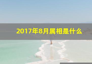 2017年8月属相是什么