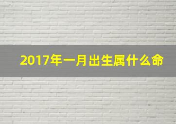 2017年一月出生属什么命