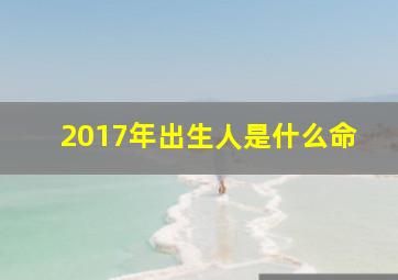 2017年出生人是什么命