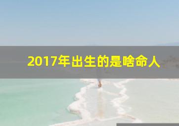 2017年出生的是啥命人