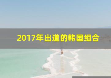 2017年出道的韩国组合