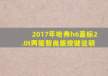 2017年哈弗h6蓝标2.0t两驱智尚版按键说明