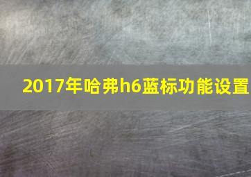 2017年哈弗h6蓝标功能设置