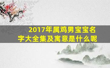 2017年属鸡男宝宝名字大全集及寓意是什么呢