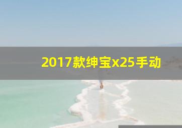 2017款绅宝x25手动