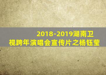 2018-2019湖南卫视跨年演唱会宣传片之杨钰莹