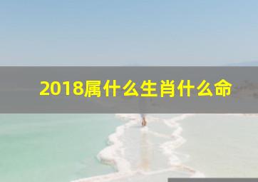 2018属什么生肖什么命