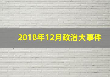 2018年12月政治大事件