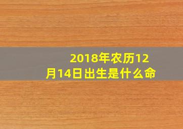 2018年农历12月14日出生是什么命