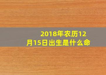 2018年农历12月15日出生是什么命