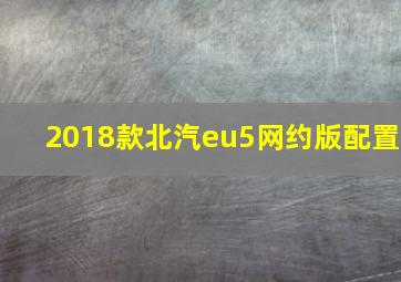 2018款北汽eu5网约版配置