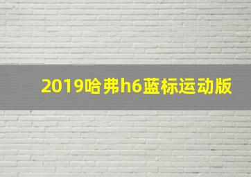 2019哈弗h6蓝标运动版