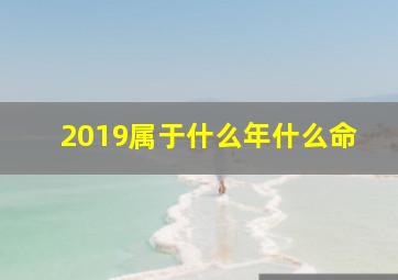 2019属于什么年什么命