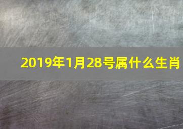 2019年1月28号属什么生肖