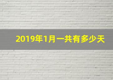 2019年1月一共有多少天