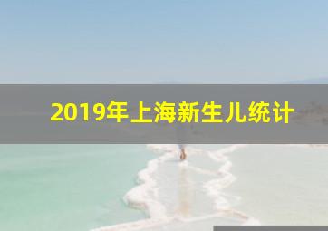 2019年上海新生儿统计