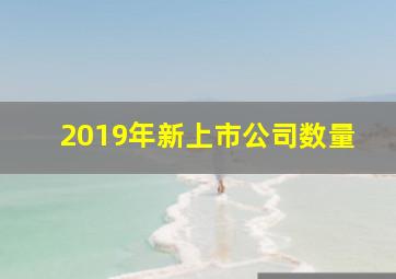 2019年新上市公司数量