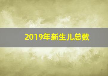 2019年新生儿总数