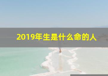 2019年生是什么命的人