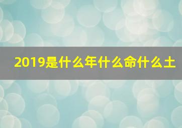 2019是什么年什么命什么土