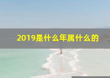 2019是什么年属什么的