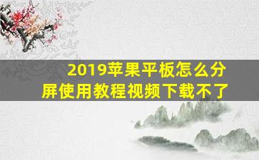 2019苹果平板怎么分屏使用教程视频下载不了