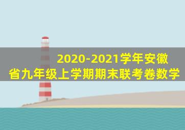 2020-2021学年安徽省九年级上学期期末联考卷数学