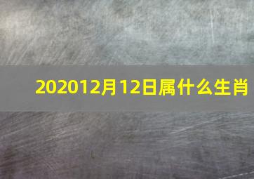 202012月12日属什么生肖