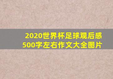 2020世界杯足球观后感500字左右作文大全图片