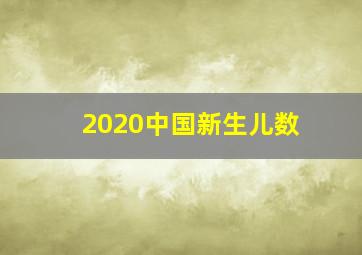 2020中国新生儿数