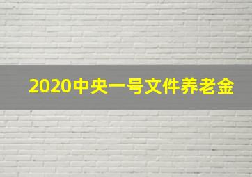 2020中央一号文件养老金