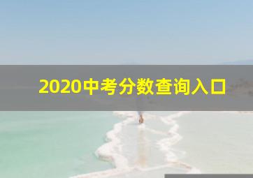 2020中考分数查询入口