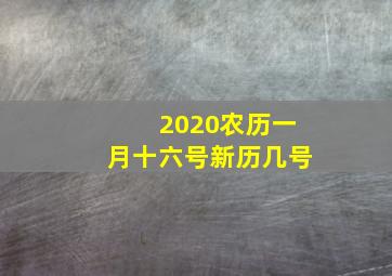 2020农历一月十六号新历几号