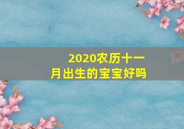 2020农历十一月出生的宝宝好吗