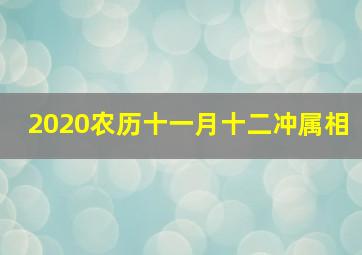 2020农历十一月十二冲属相