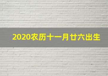 2020农历十一月廿六出生