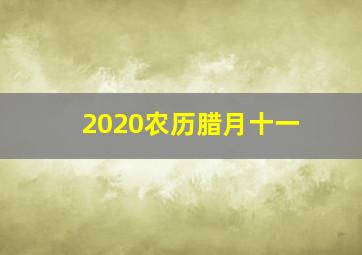 2020农历腊月十一