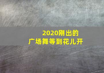 2020刚出的广场舞等到花儿开