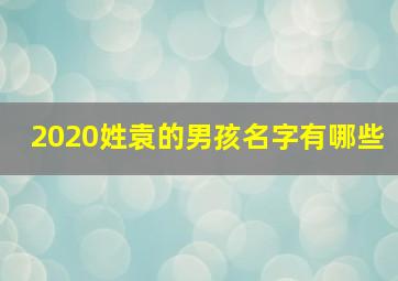 2020姓袁的男孩名字有哪些