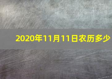 2020年11月11日农历多少